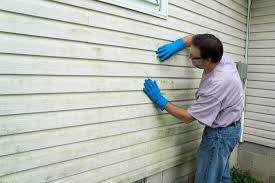 Best Storm Damage Siding Repair  in New Holland, PA